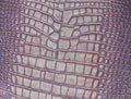 Lilac Pearl leather reference