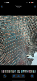 Bronze Teal 01 leather reference