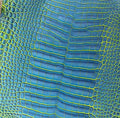 Electric Lime Blue leather reference