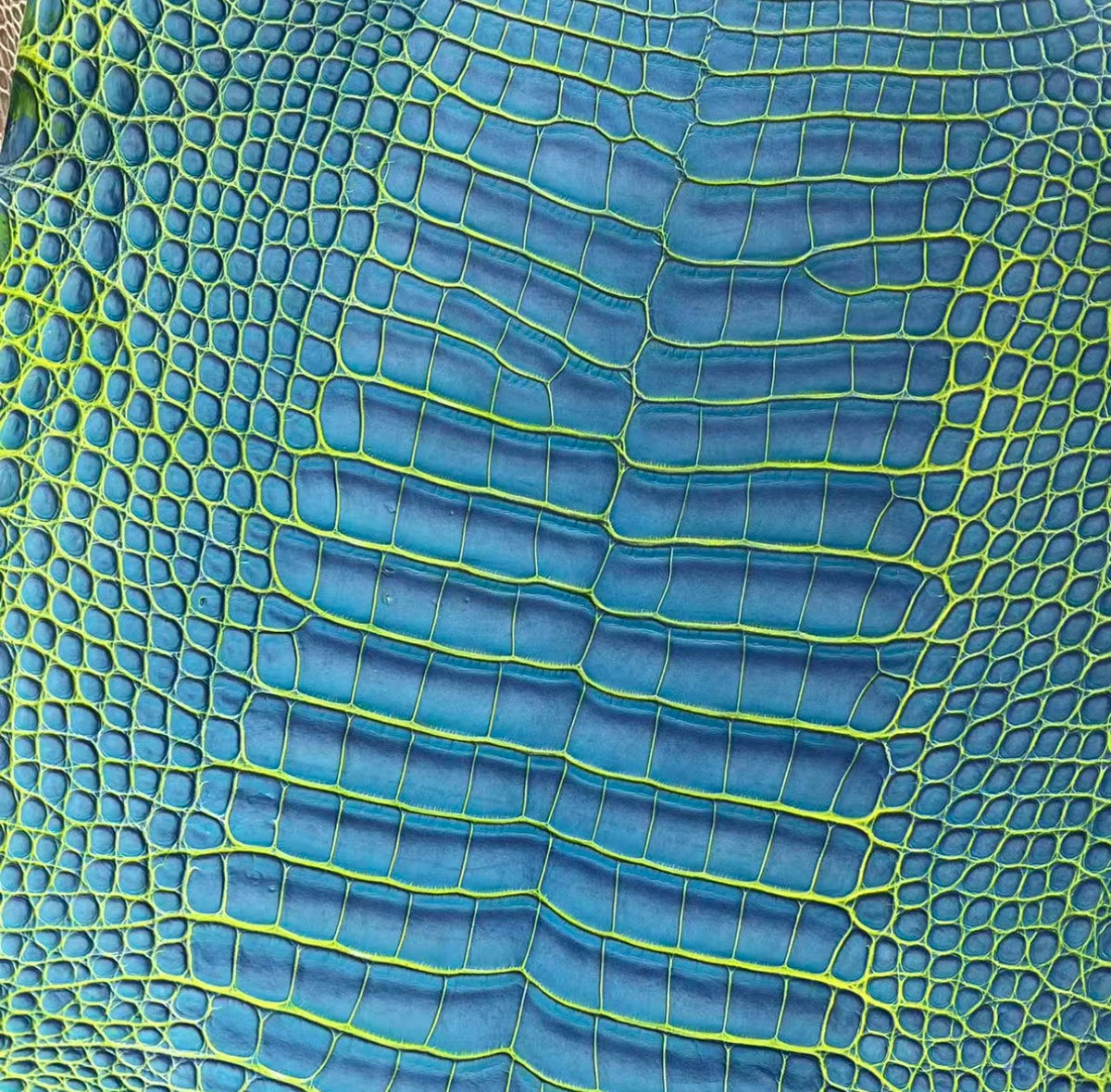 Electric Lime Blue leather reference