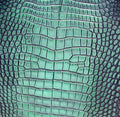 Mint Lagoon leather reference