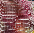 Burgundy Copper leather reference