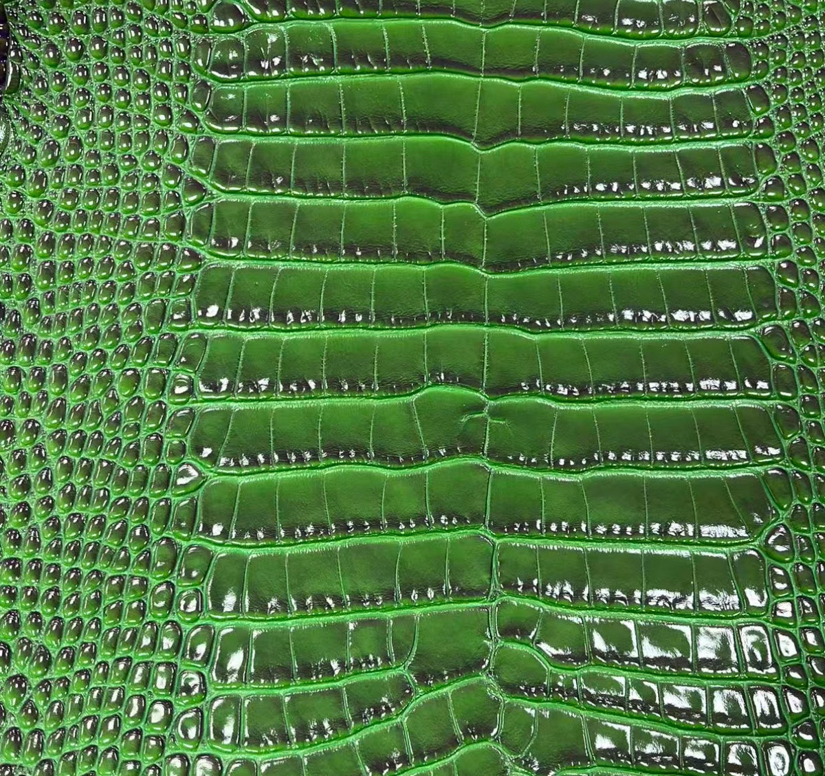 Emerald Glaze alligator hide