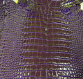 Olive Amethyst alligator hide