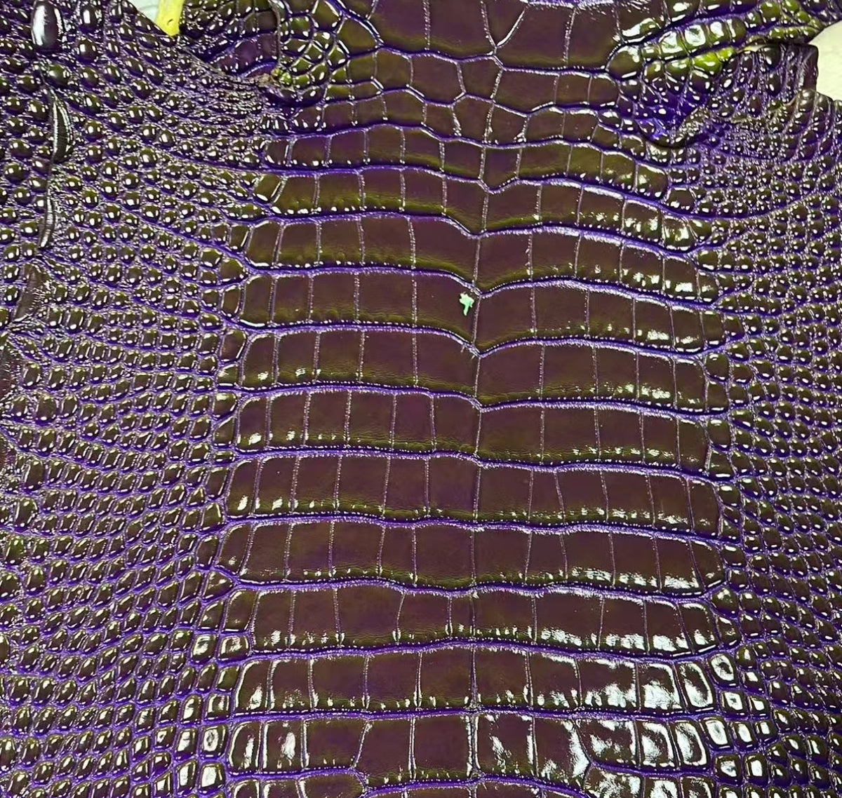 Olive Amethyst alligator hide