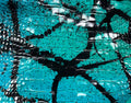 Turquoise Splash alligator hide