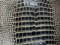Ember Onyx alligator hide