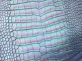 Pastel Aurora alligator hide