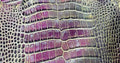 Plum Patina alligator hide
