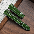 Forest Gloss alligator strap